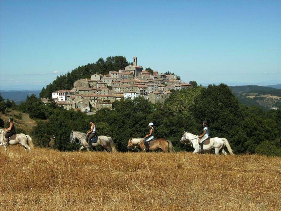 Luciano E Norma House Il Rustico Villa Gerfalco ภายนอก รูปภาพ